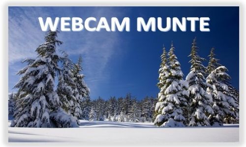 Webcam Munte
