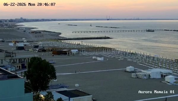 Live Hotel Dunarea Mamaia