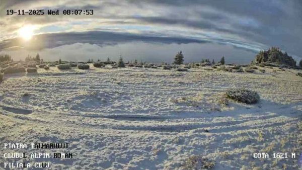 Webcam Refugiul Piatra Talharului