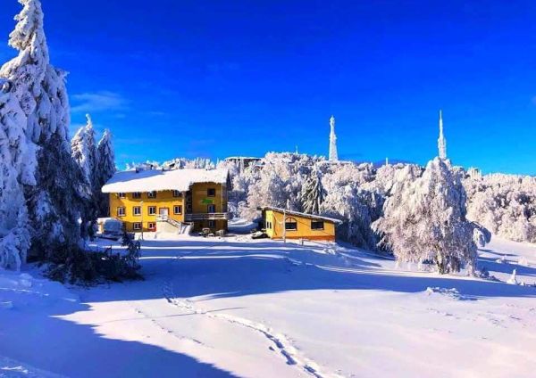 Webcam Yaya Ski Semenic